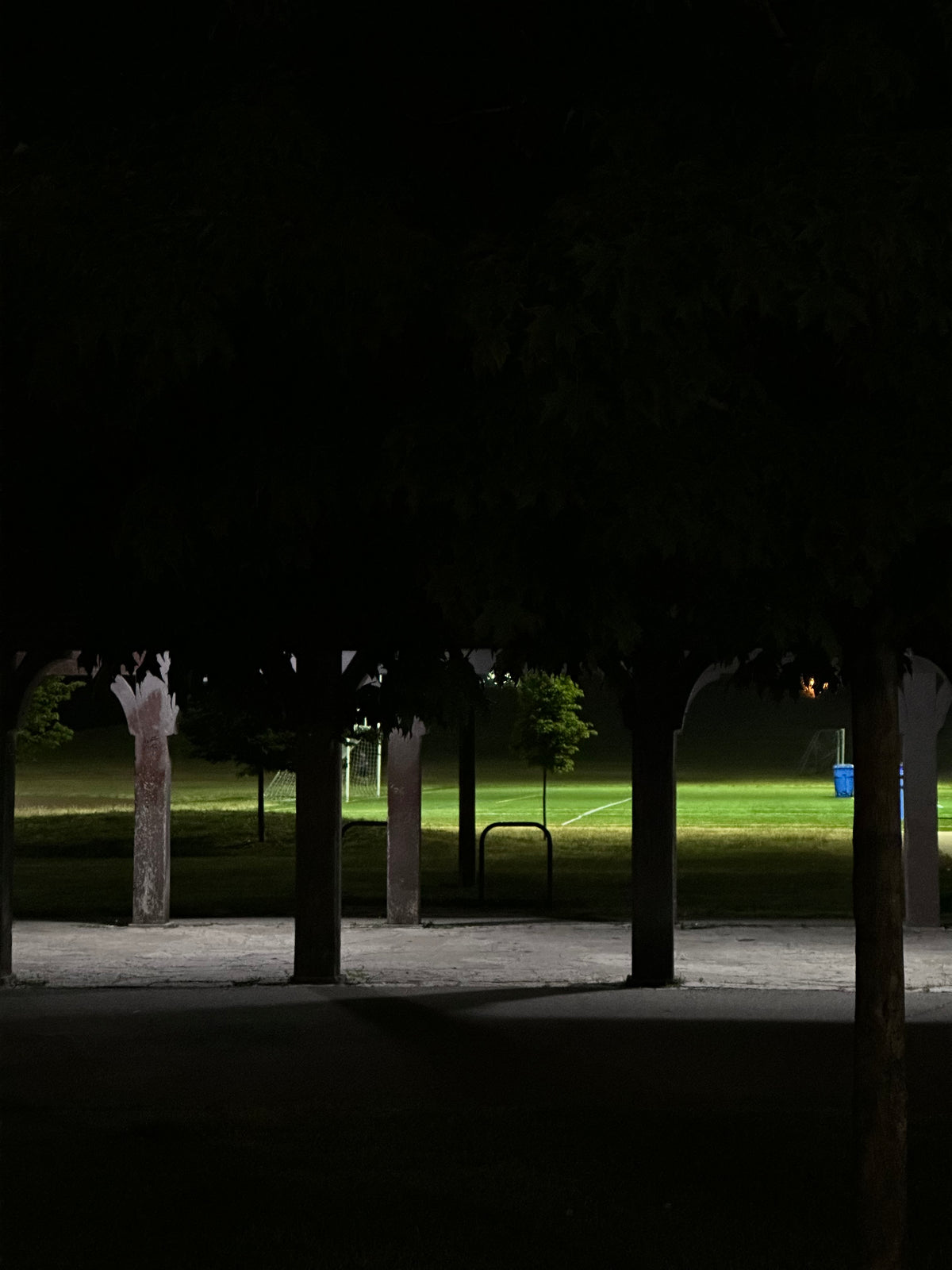 Night Park Tee