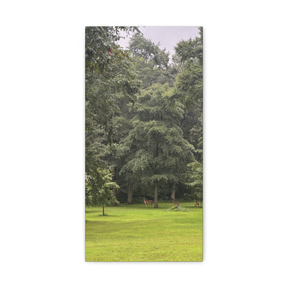 Three Deer Canvas