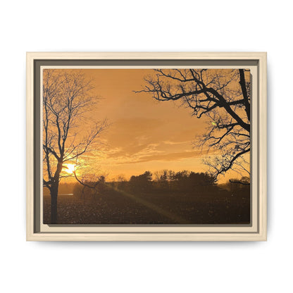 Bare Trees at Sunset Canvas