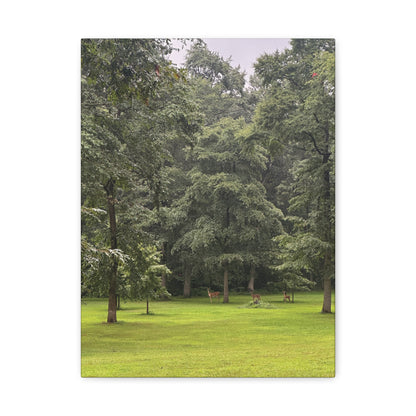 Three Deer Canvas